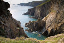 Pen Dinas